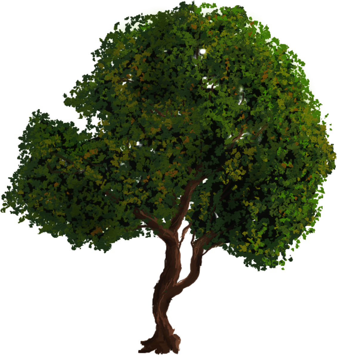 Arvore Pequena Png (2048x1492), Png Download