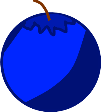 Blueberry - Circle (800x600), Png Download