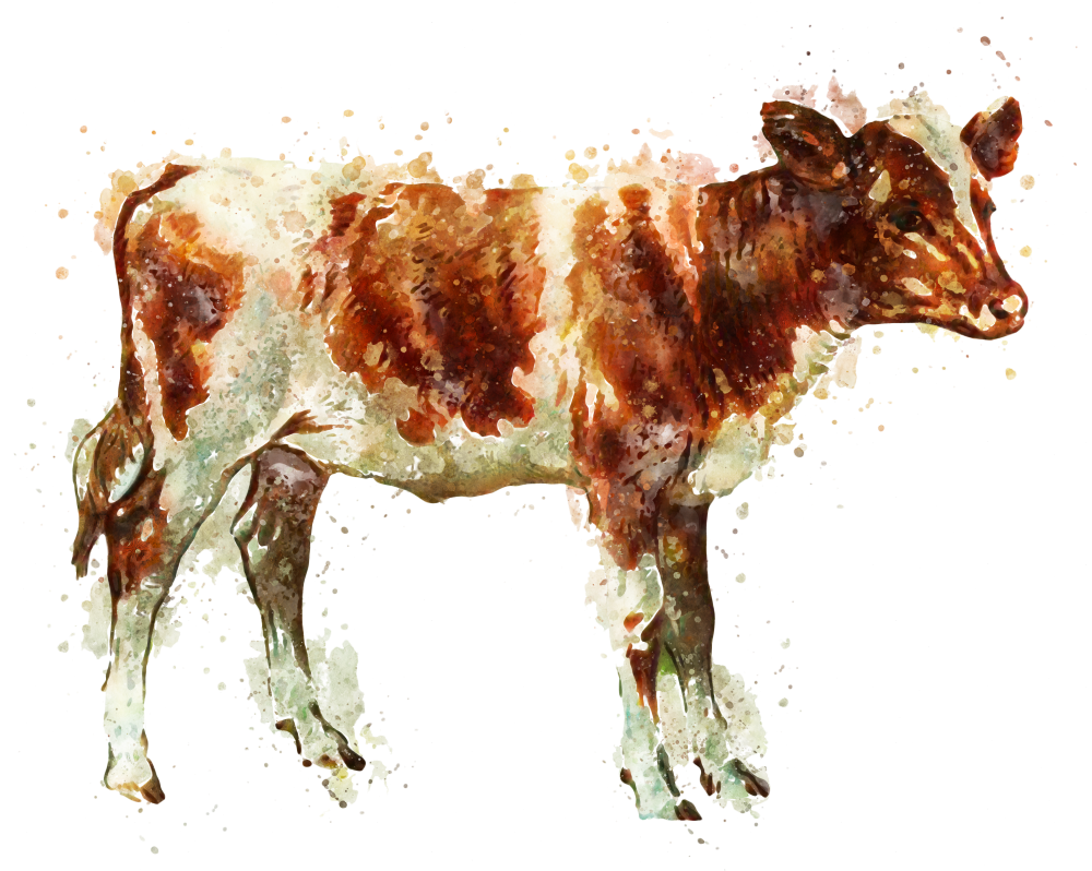 Beef Products - Cooperative (1000x798), Png Download