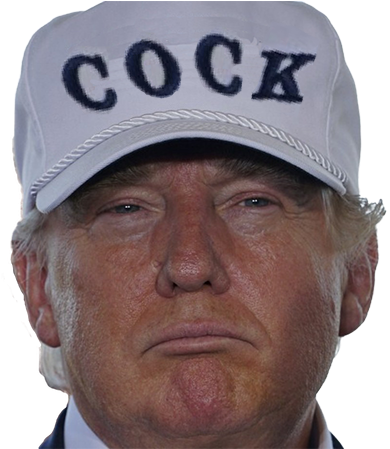 Cock Donald Trump United States Of America Crippled - Make America Great Again Meme Hat (500x448), Png Download