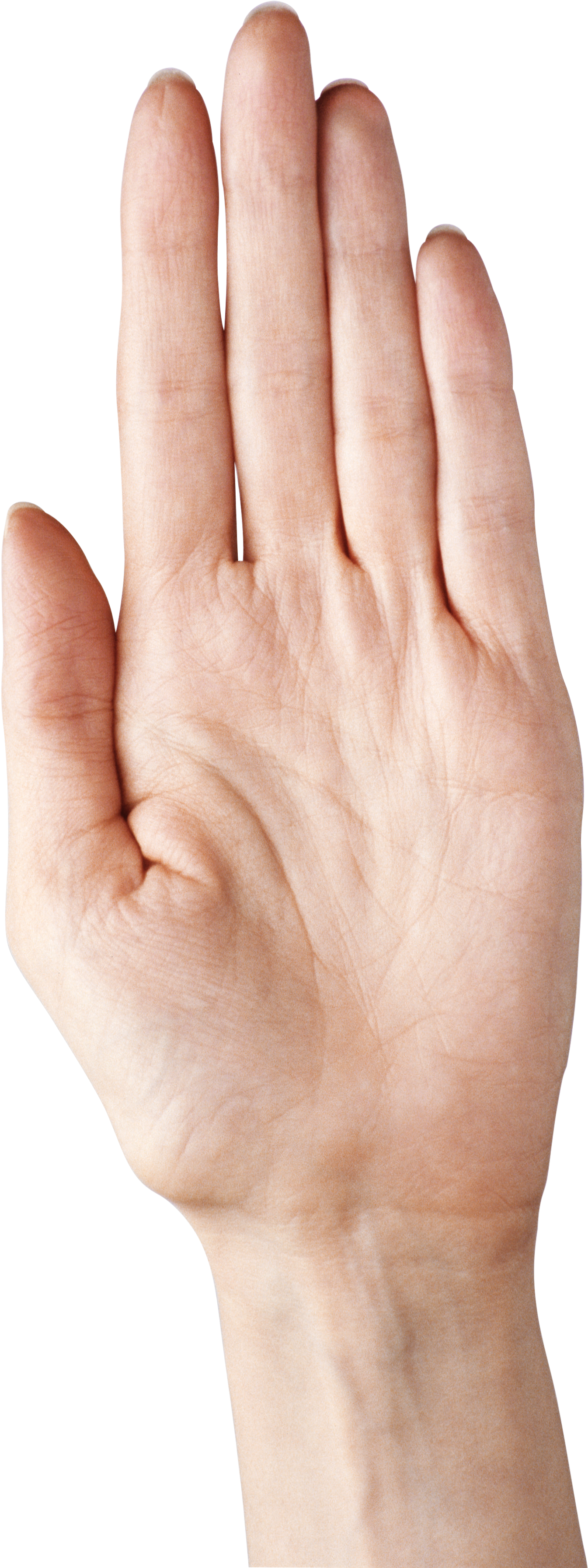 Hand Showing Five Fingers Png Clipart Picture - Five Fingers Hand Png (2389x3669), Png Download