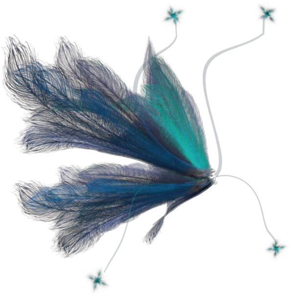 Fairy Wings Png (1024x639), Png Download