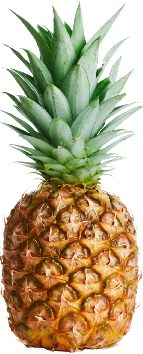 Pineapple - Black And White Pineapple Photography (287x710), Png Download