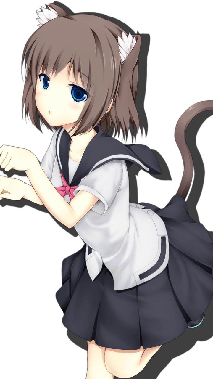 Neko Girl Wallpaper Iphone (720x1280), Png Download
