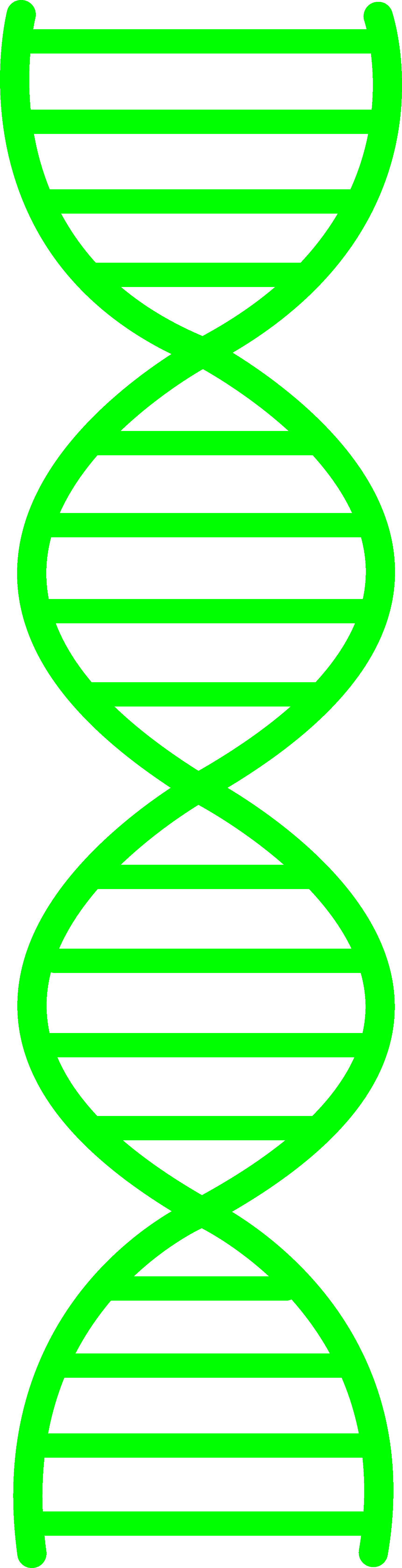 Green Clipart Dna - Double Helix Clipart (1722x6709), Png Download