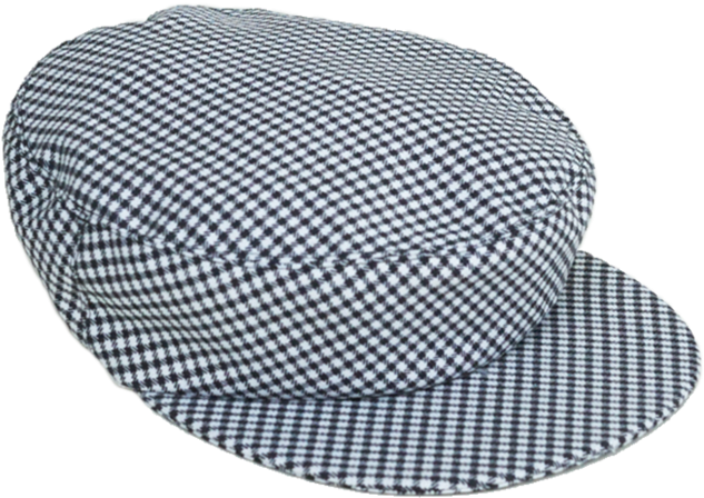 Acton Hat In Gingham Screen - Baseball Cap (600x401), Png Download