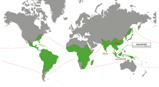 Bamboo - Bamboo World Map (537x295), Png Download