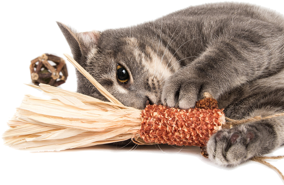 The Best For Your Cat All Natural Toy Made With Silver - Cat Toys (976x653), Png Download