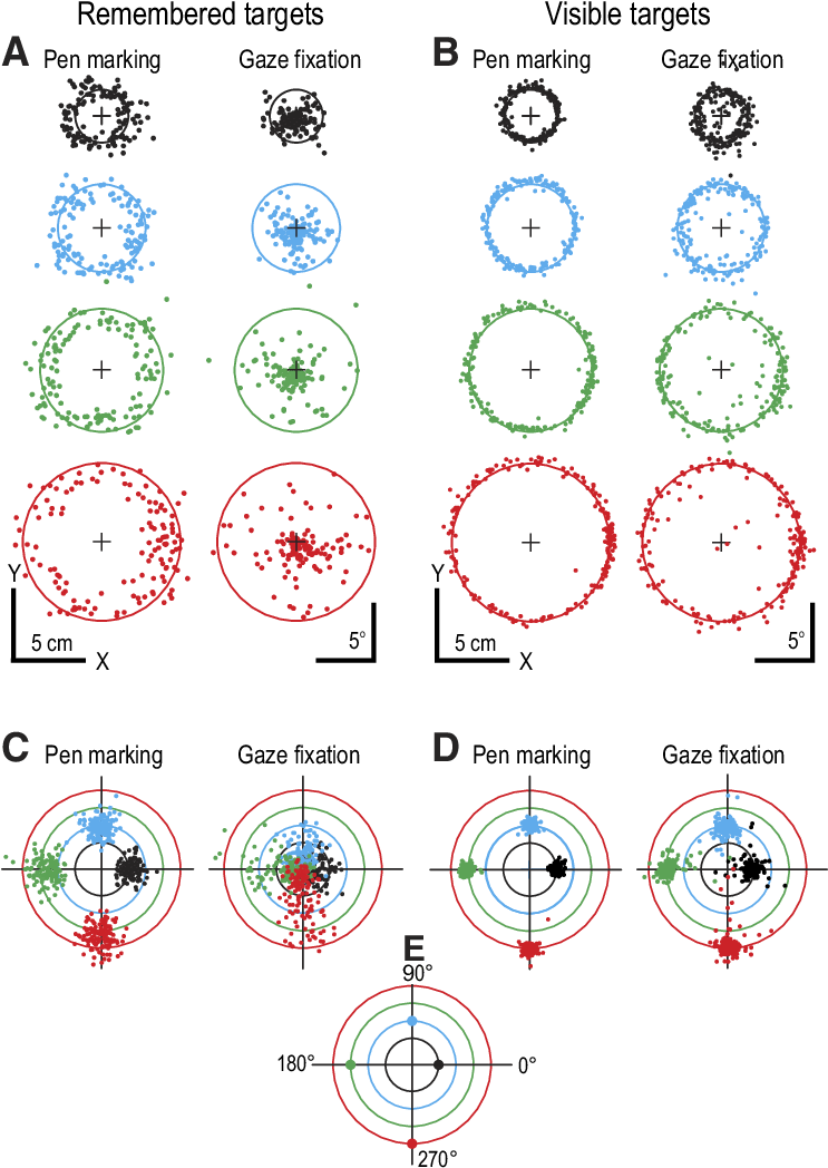 Locations Of Pen Markings And Related Gaze Fixations - Circle (742x1056), Png Download