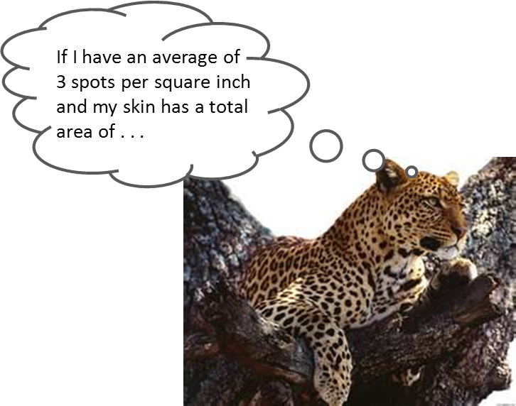 Chester's Weekly Challenge Problem - Quiet Decor Arabic Numbers New Style Leopard Round (726x572), Png Download