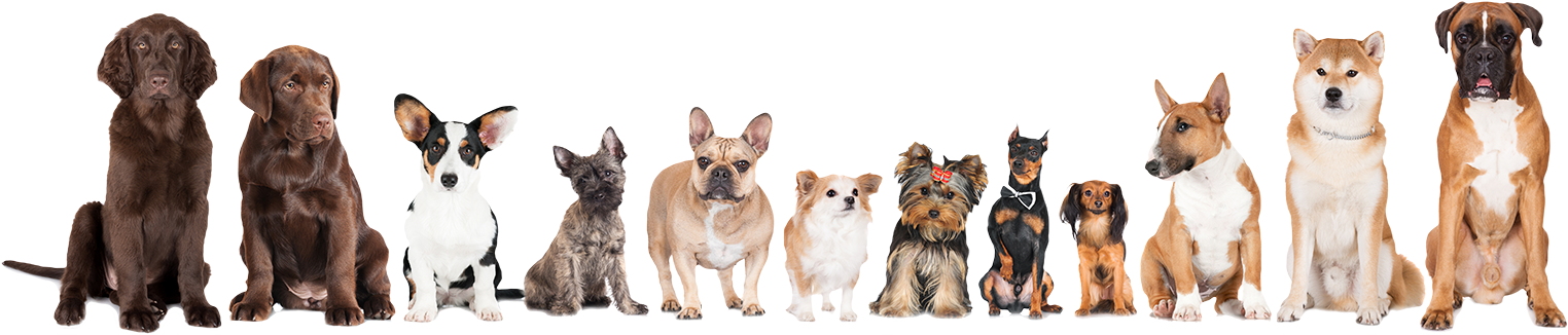 Our Mission Statement - Quickbooks Pro: Practice Book [book] (1524x326), Png Download