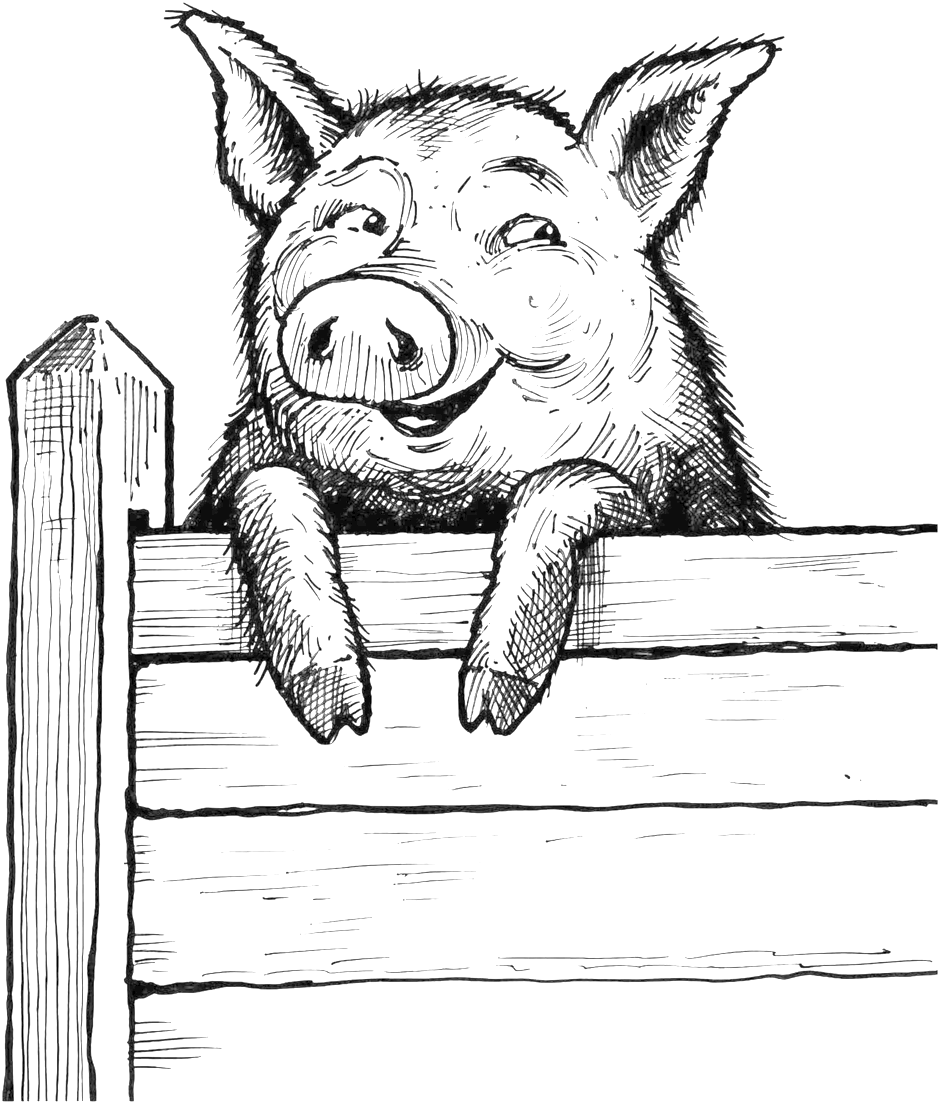 Saxbys Pig On Fence - Pig On Fence Drawing (1000x1150), Png Download