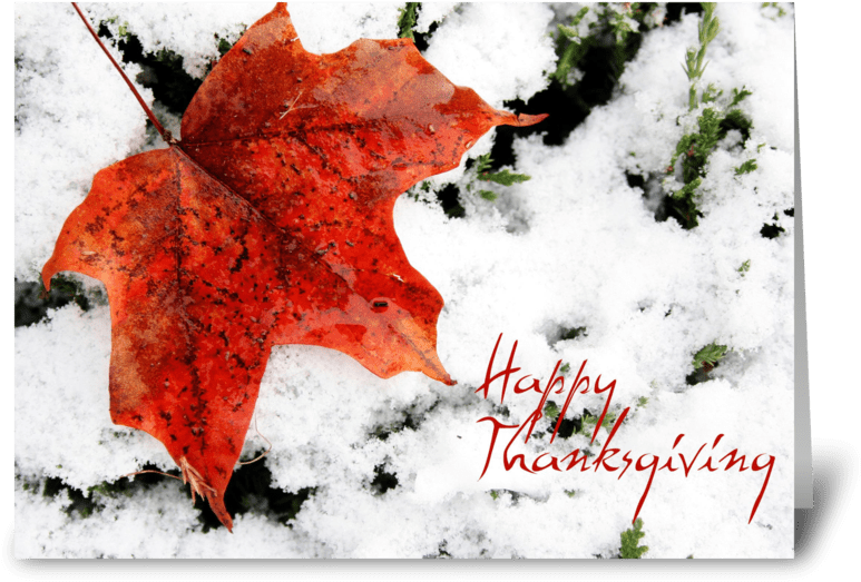 Red Maple Leaf, Canadian Thanksgiving Greeting Card - Party (848x698), Png Download