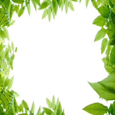 Green Leaves Frame, Fr - Cadre Feuille De Chene (400x400), Png Download