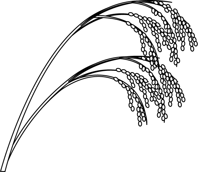 Rice Paddy Png Black And White Transparent Rice Paddy - Rice Plant Black And White (634x551), Png Download