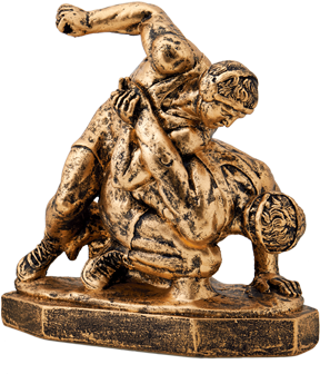 2562 - Wrestling Trophies (300x400), Png Download