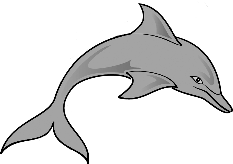 Top 77 Dolphin Clip Art - Dolphin Clipart Transparent (801x564), Png Download