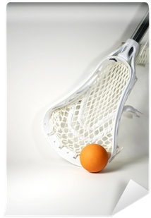 Lacrosse Stick And Ball Journal: 150 Page Lined Notebook/diary (400x400), Png Download