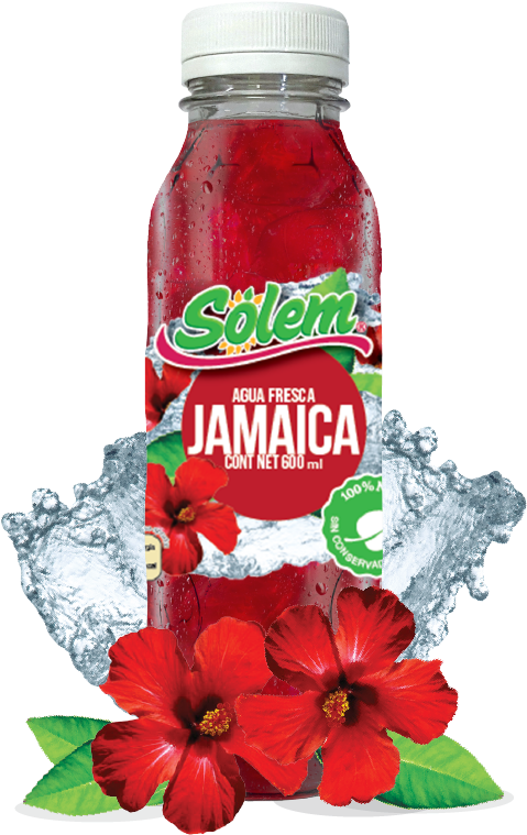 Agua De Jamaica - Hibiscus Flower (504x787), Png Download