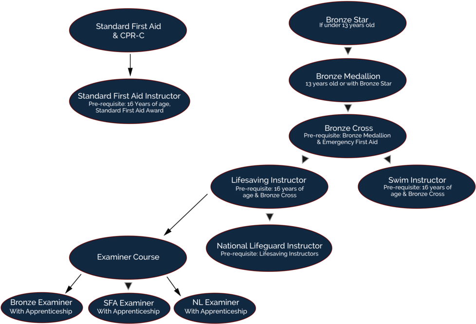 Flowchart Instructor - Diagram (1000x701), Png Download