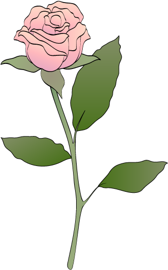 Pink Rose Clip Art - Blue Rose Clip Art (344x558), Png Download