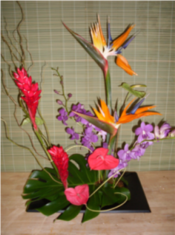 Tropical Romance - Bird Of Paradise (480x480), Png Download