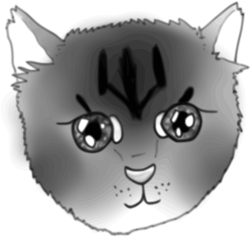 Cat (800x728), Png Download