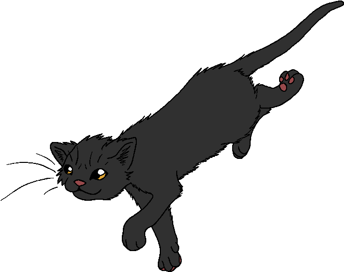Pine Needle - Pine Needle Warriors Cats (759x605), Png Download