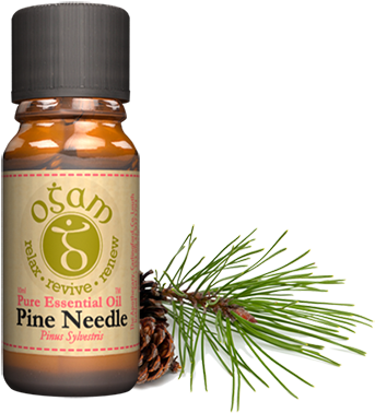Pinus Sylvestris - Essential Oil (426x377), Png Download