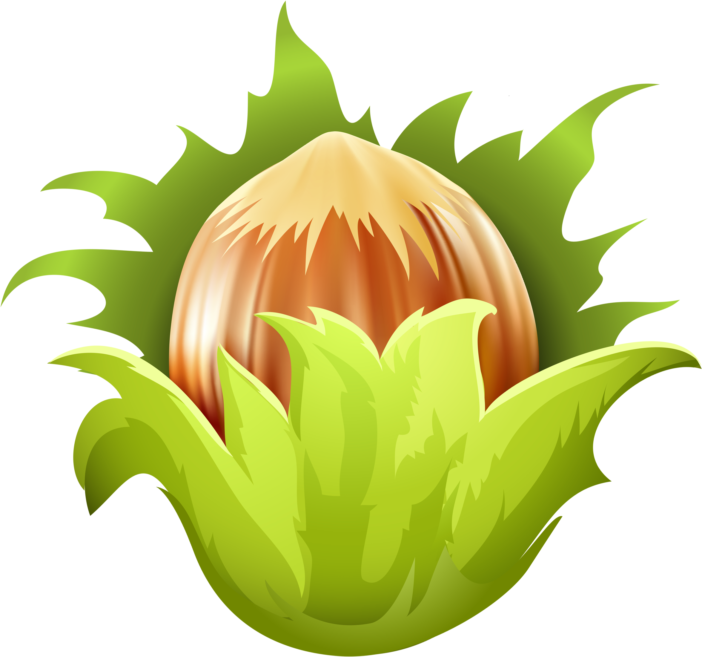 Hazelnut Png Clip Art - Hazelnut Clipart Png (2472x2268), Png Download