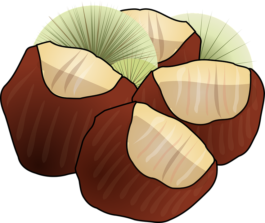 Hazelnut Png Clipart Pictureu200b - Chestnuts Clipart Png (854x720), Png Download