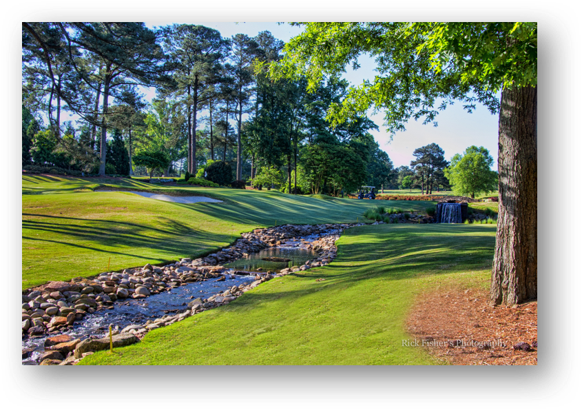 And With The Recent Release Of The Second-generation - Grass (845x595), Png Download