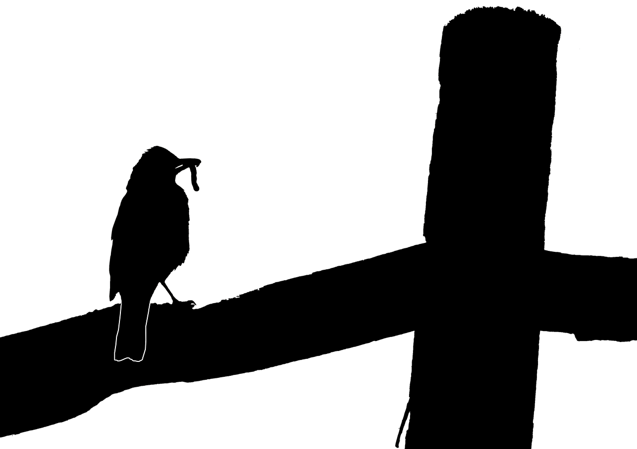 Robin Silhouette Mother Bird - Bird (1280x902), Png Download