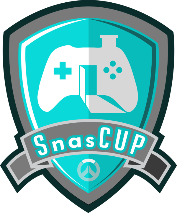 Snascup5 - Overwatch (600x722), Png Download