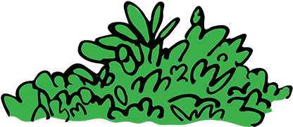 Groundcovers (433x361), Png Download