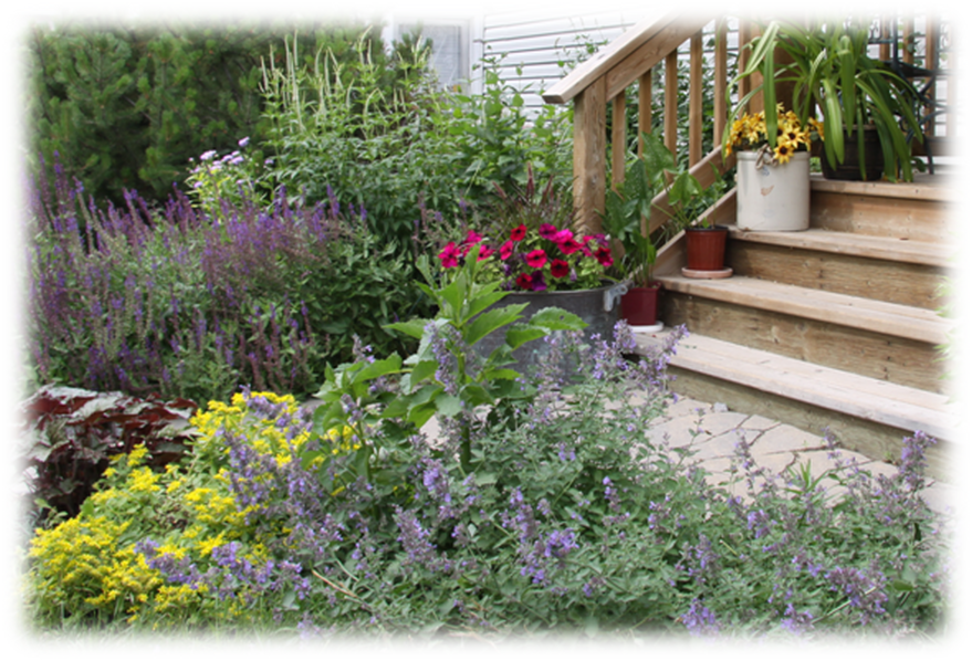 Contact Us - Garden (879x598), Png Download