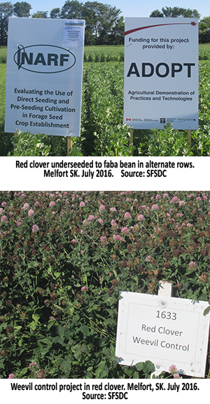 Giant Schnauzer (300x576), Png Download