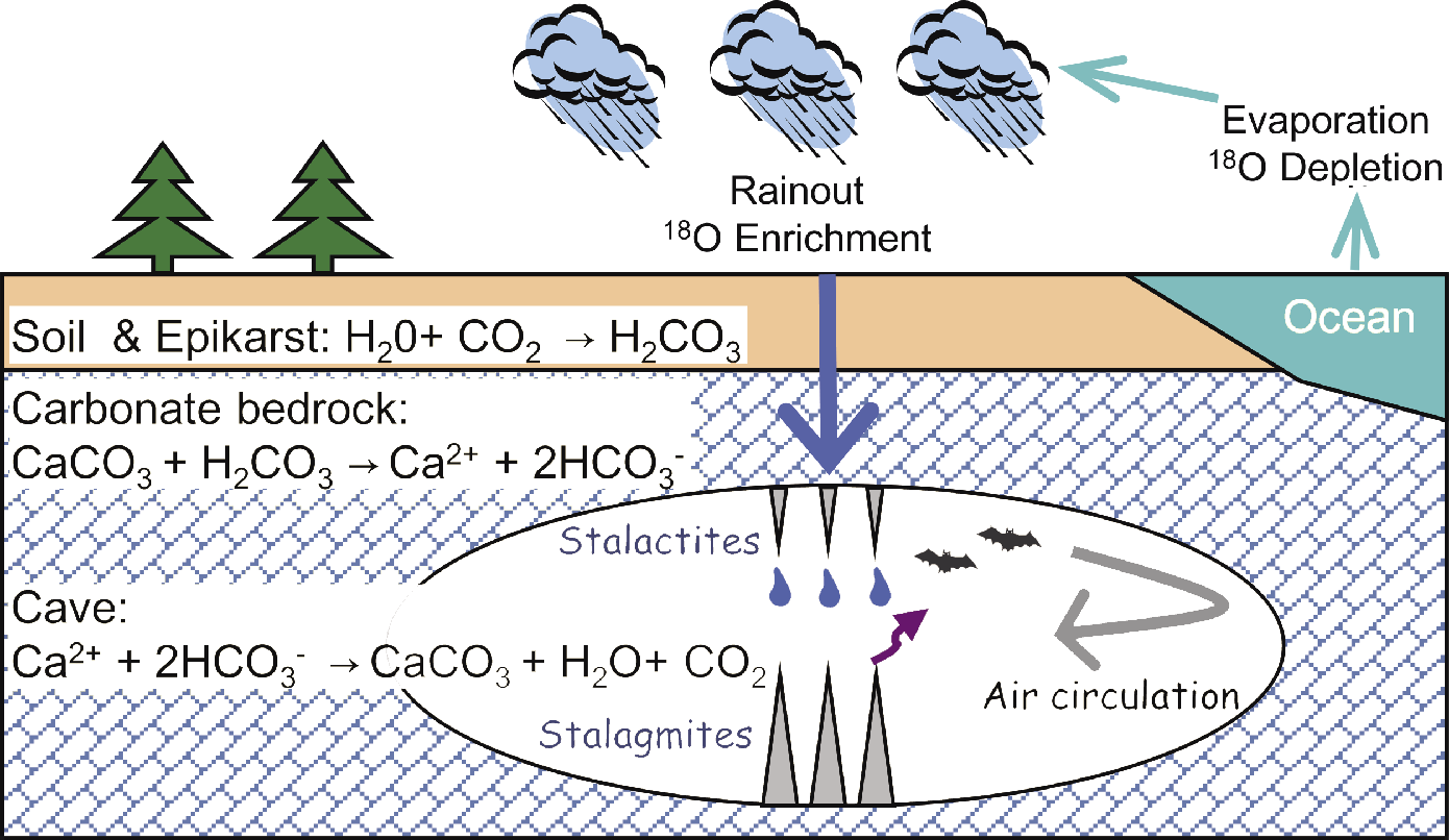 The Formation Process Of Stalagmites - Illustration (1390x806), Png Download