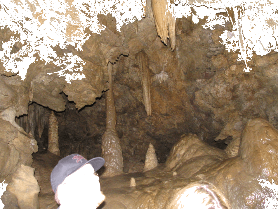Pillars Stalegtites And Stalegmites - Oregon Caves National Monument (952x714), Png Download