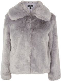 Tall Faux Fur Coat - Topshop Grey Fur Coat (400x400), Png Download