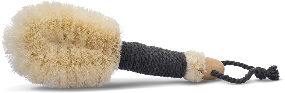 In The Buff - Brush (1000x1000), Png Download