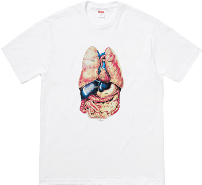 Supreme Guts Tee (480x480), Png Download