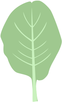 Sorry, We Did Not Find That Page - Food (810x369), Png Download