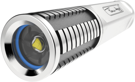 Sealantern Flame Angel - Flame Angelfish (600x399), Png Download