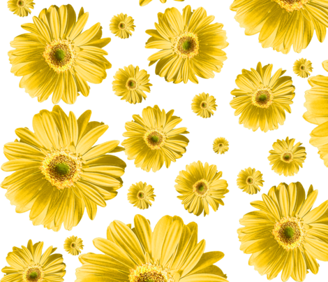 Yellow Daisy Fabric By Ophelia On Spoonflower - Gerbera Daisy Green Png (470x403), Png Download