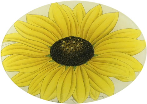 Yellow Daisy Yellow Daisy - Sunflower (500x500), Png Download