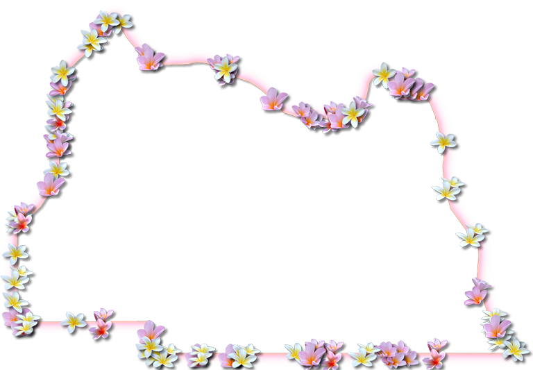 A Map Of Seminole With A Coral Color Glow Border And - Map (768x533), Png Download
