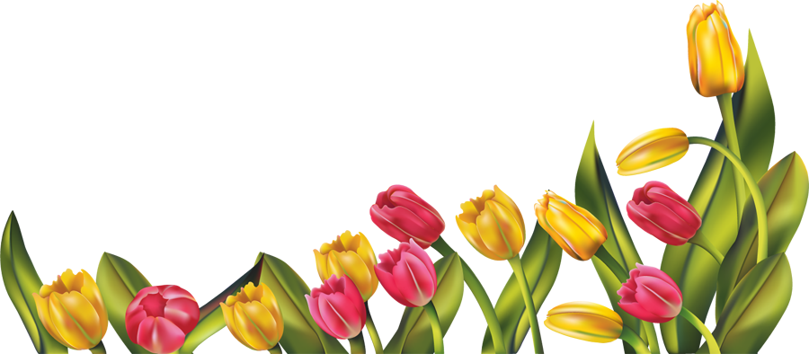 Spring Border Clipart - Good Morning And Happy Easter (900x394), Png Download