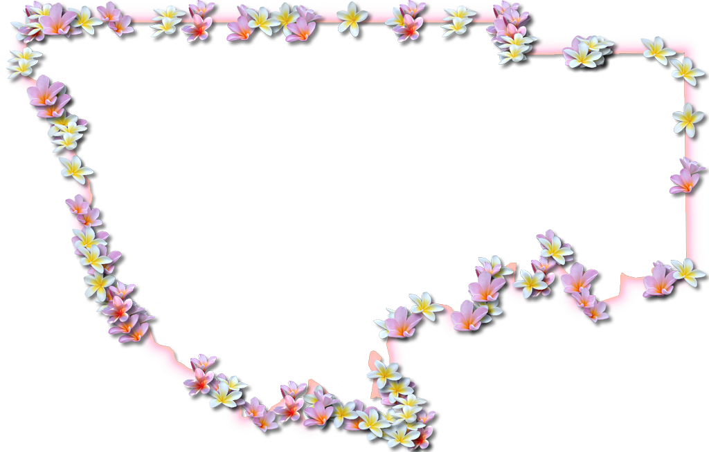 A Map Of Wakulla With A Coral Color Glow Border And - Wakulla County, Florida (1024x654), Png Download