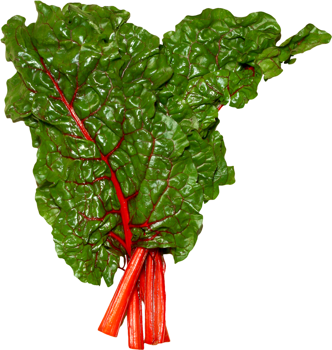 Fresh Swiss Chard Png Image - Swiss Chard Leaf Png (1138x1224), Png Download